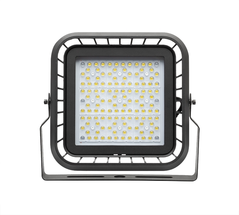 Proiector_Profesional_100W_Dimabil_110V_DC_5000_220V240V_AC_IP66_LSF10050_3h6u